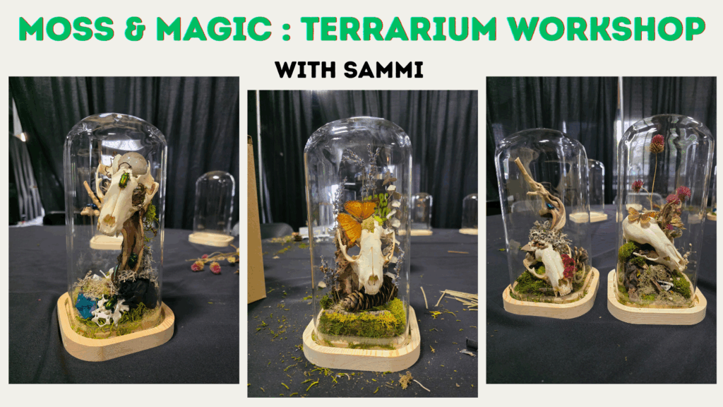 Join us for a fun and educational terrarium class in Flemington NJ