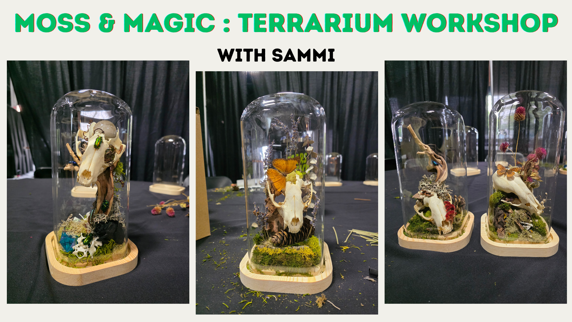 Join us for a fun and educational terrarium class in Flemington NJ